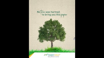 Trident Paper | Trident Group