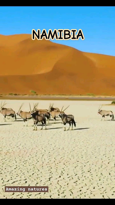 NAMIBIA_Places on earth that don't feel real | der einsame hirte _Leo Rojas #shorts #nature #viral