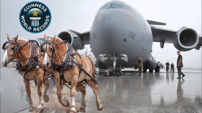 G qoriqchi jinsiy aloqa Erotik raqs bilan arab porno