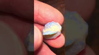 Live Opal Auction | Tuesday 13 October 7PM AEDT | Lightning Ridge Black Opal