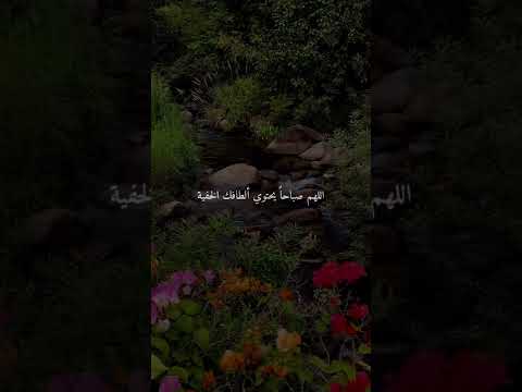 حالات واتس اب عن الصباح صباح الخير