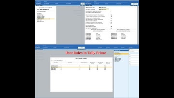 User Roles in Tally Prime