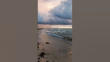 #القرأن الكريم #راحة_نفسية  | القارئ عبد الرحمن مسعد
