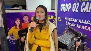 GRUP ÖZ CANLAR DELİLO&DİLAN HALAY 4K 2022! #delilo #özcanalaca #nurcanalaca #grupözcanlar #tiktok Resimi