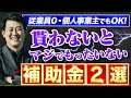 【まだ間に合う】2023年版/従業員0・個人事業主でも狙える補助金2選/中小企業診断士が解説/実際に採択された計画書も配布！