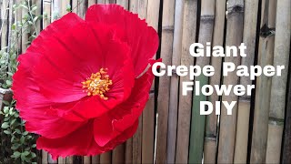 Pretty Giant Crepe Paper Flower DIY