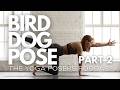 Bird Dog Variations: Fix Hip Shift, Improve Core Coordination & Prepare for Warrior 3