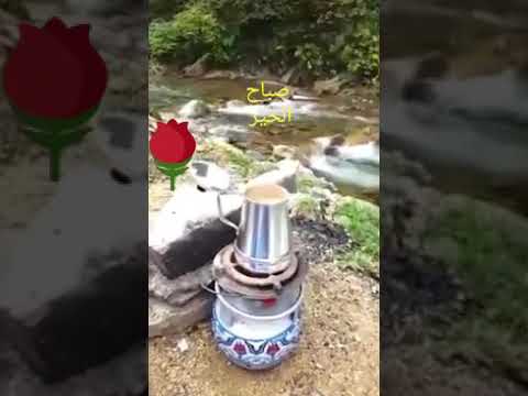 صباح الخير يا بنات