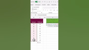 EXCEL Filter-Funktion mit mehreren Kriterien #deutsch
