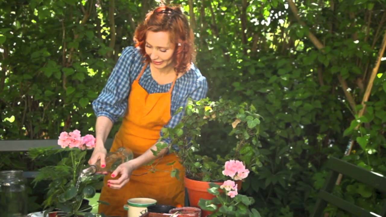 Få bort ogräs enkelt! by odlingstv 2016 06 01