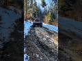 Tafman 🚜 Heavy Downhill mit Holz #tafman #holztransport #forestry #steilhang #europe