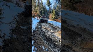 Tafman 🚜 Heavy Downhill mit Holz #tafman #holztransport #forestry #steilhang #europe
