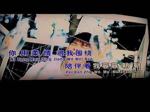 许文友MV(爱上你是不是鬼迷心窍)冯昭明演唱
