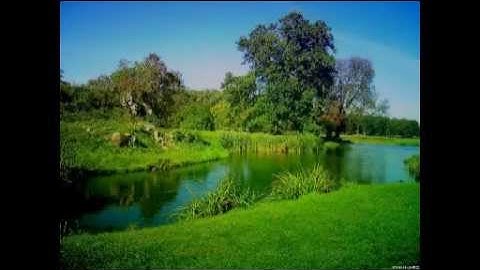 تلاوه لا توصف رائعه جدا لأول مره الشيخ جبريل (تجويد)