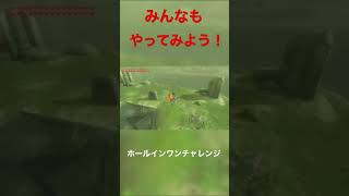 ゼルダの伝説〜ブレスオブザワイルド〜ホールインワンチャレンジ