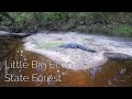 Little Big Econ State Forest | 6 miles hiking | Alligators | Florida