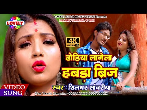 Shildhar Sawariya Ka Super Hit Song /Dhodiya Lagela Habada Brij
