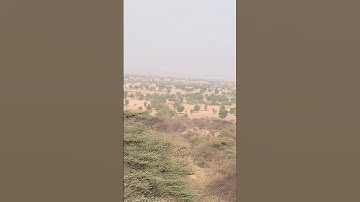 #morning #shorts #vibes #beautiful #creative #animals #rajasthan #comedy #kids #assignment #like