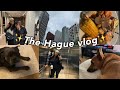Shopping🛍 at  Europe's Biggest mall? 👀 | The Hague Vlog | Jennyfer Ross💕