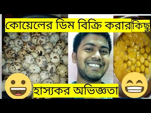 ভিডিও: ডায়েটের কোয়েল ডিম। পণ্যের মূল্য কত?