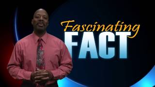 Biblical New Moon Fascinating Fact