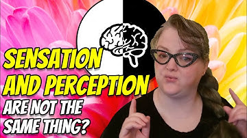 Sensation and Perception: What