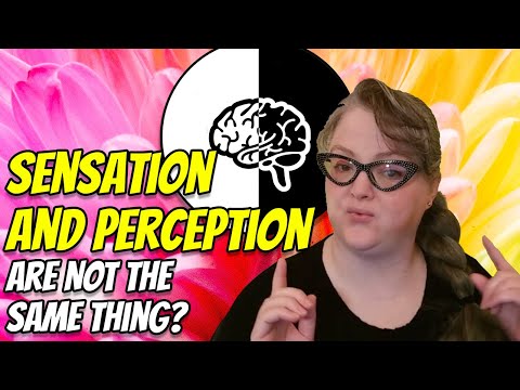 Video: Hvad er ligheden mellem sansning og perception?