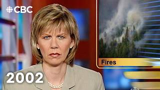 In 2002 wildfires blew smoke from Quebec as far as Washington DC