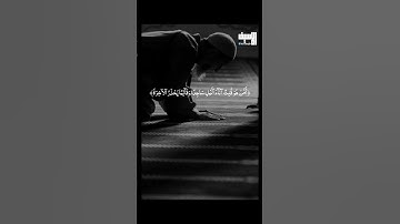 تلاوة من سورة الزُّمر | القارئ حاتم المالكي