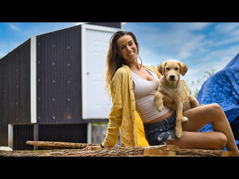 I HAD TO CALL IT QUITS // huge changes to our solar kiln I HAD TO CALL IT QUITS // huge changes to our solar kiln