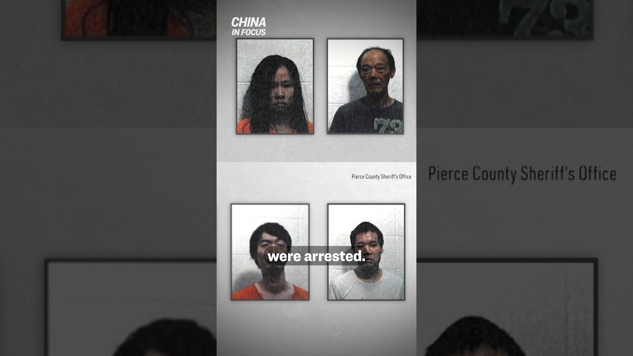 Four Chinese Nationals Arrested in Georgia Marijuana Bust