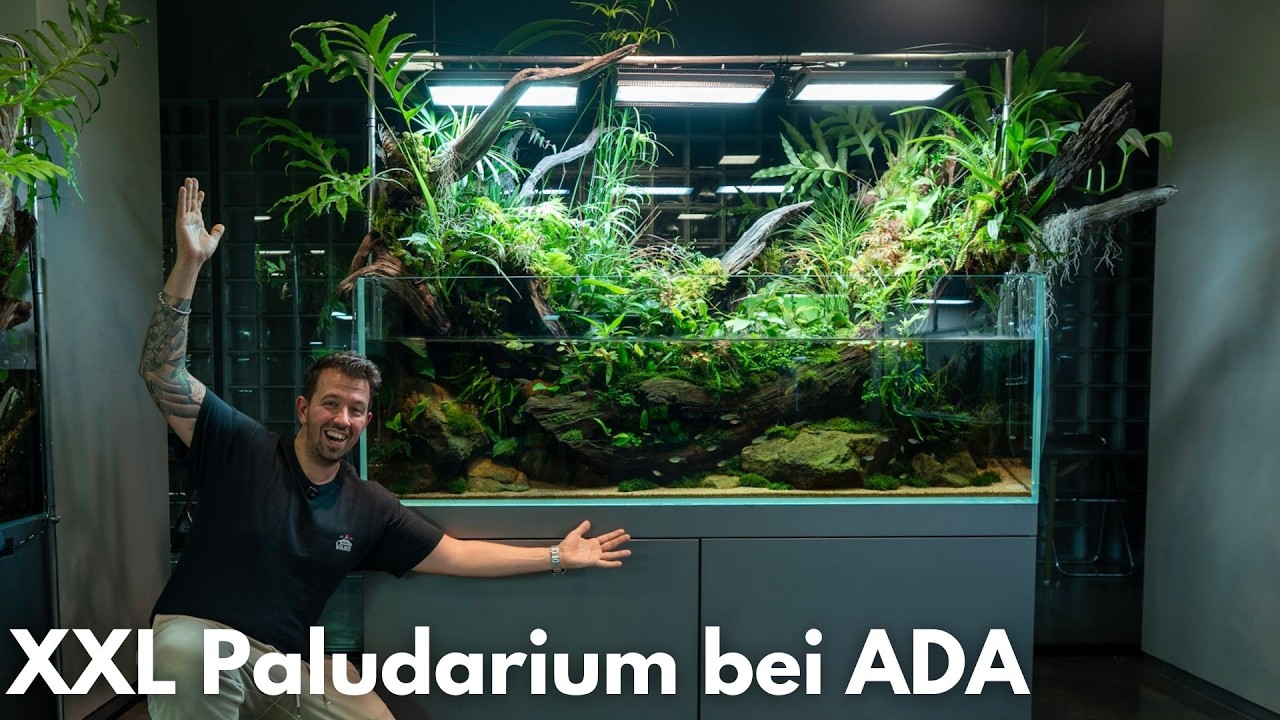 XXL Paludarium in der ADA Nature Gallery