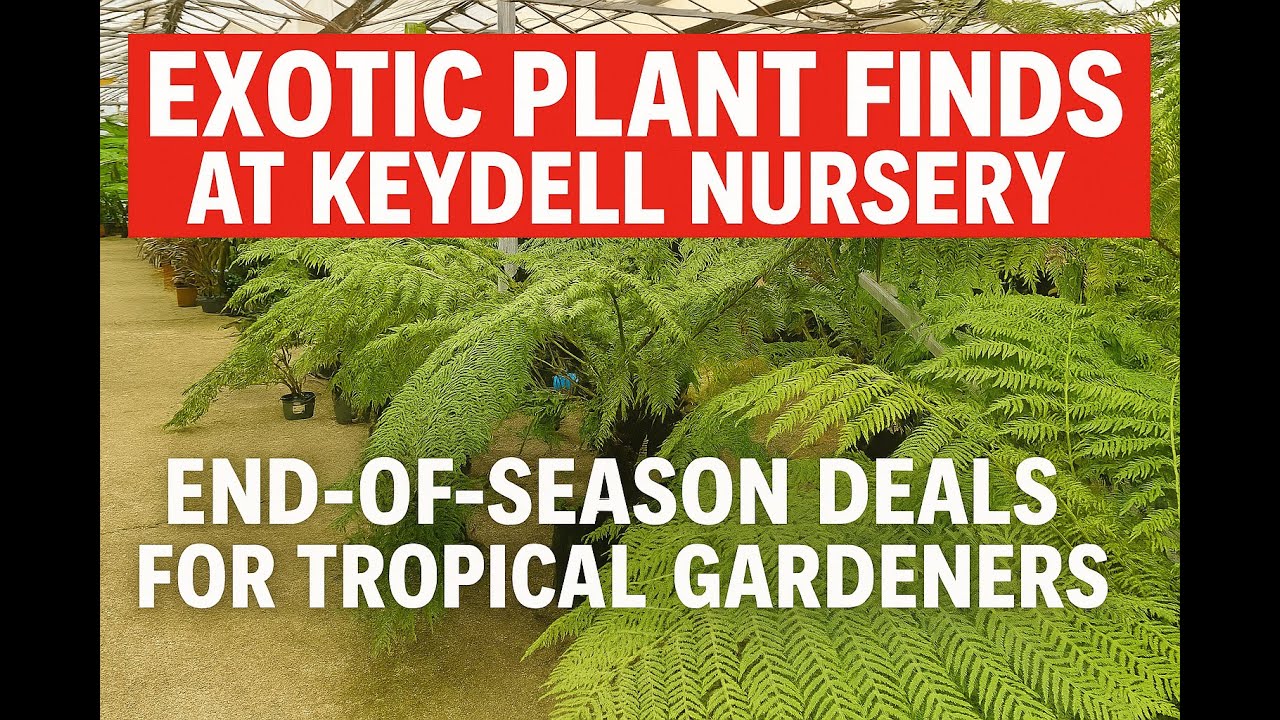 Exotic Plant Finds at Keydell Nursery! End-of-Season Deals for Tropical Gardeners