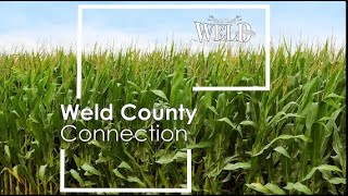 11/07/25 Weld County Connection