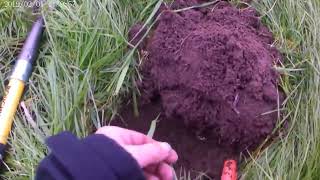 blackpool detecting SORRY ABOUT NO SOUND #metaldetecting