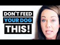 Dr. Karen Becker on the RAW FOOD DIET & Feeding Your Dog for a Long & HEALTHY LIFE