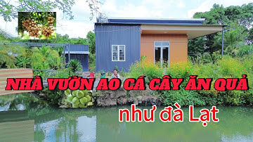 NHÀ VƯỜN AO CÁ CÂY ĂN QUẢ CÁC LOẠI VÍ NHƯ ĐÀ LẠT THỨ HAI