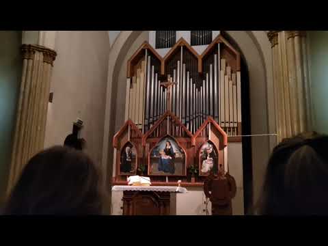 Концерт органной музыки в римско-католической церкви