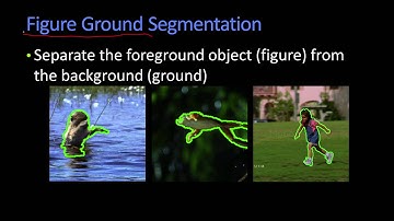 Segmentation