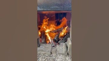 Making Maple Syrup 🍁🥞  #maple #maplesyrup #mapletrees #pennsylvania #organic