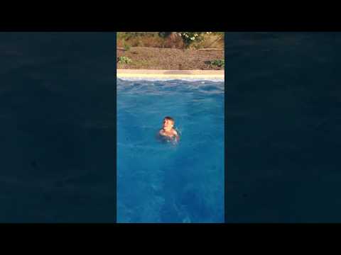 Schwimmschule Sharky: Mit