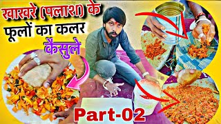 खखर पलश क फल कसल स हल रग कस बनएMaking Organic Holi Colour At Homeदश हल