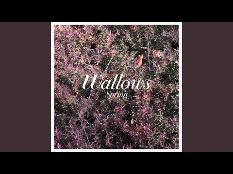 It's Only Right - Wallows