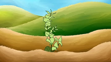 ACCEPTED CSSSA 2021 Animation Reel - Assignment D (old)