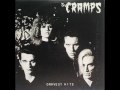 The Cramps - Human Fly