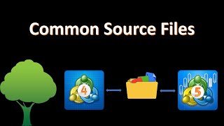 Use the same files in MQL4 and MQL5 code without copying