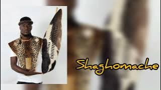 Kgosi Maburu — Shaghomache