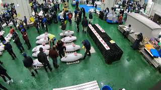 Tokyo  Tuna Auction (Toyosu Market)