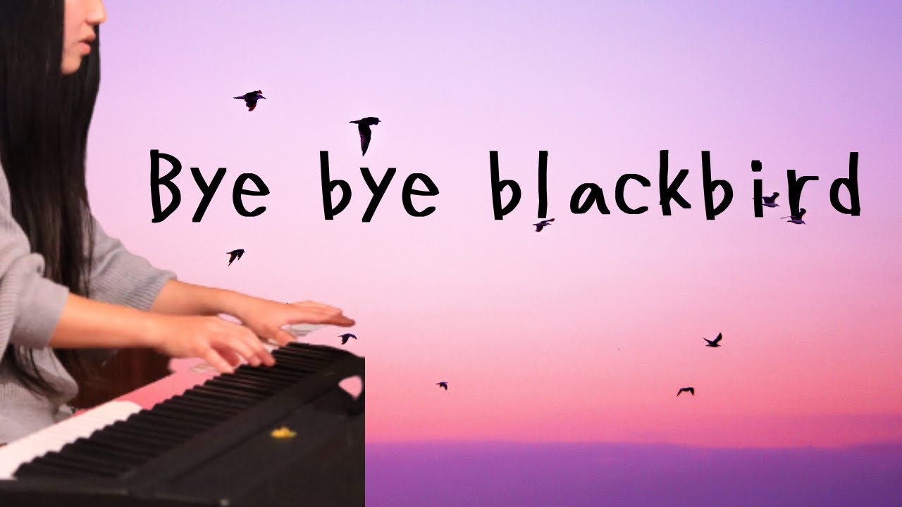 Bye Bye Blackbird オーハタユキグループ 高画質 高音質ライブ配信 Piano Hall Avenue 岡山県倉敷市 21 11 9archive Youtube