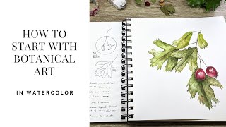 How to Start with Botanical Art